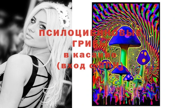 марки nbome Инта