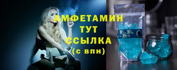 индика Зеленокумск