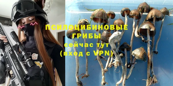 MESCALINE Иннополис