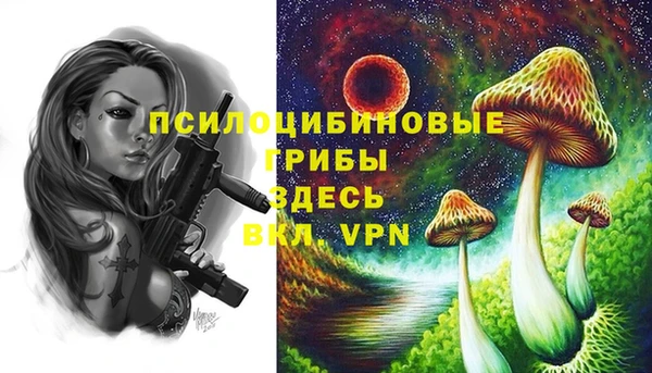 марки nbome Инта